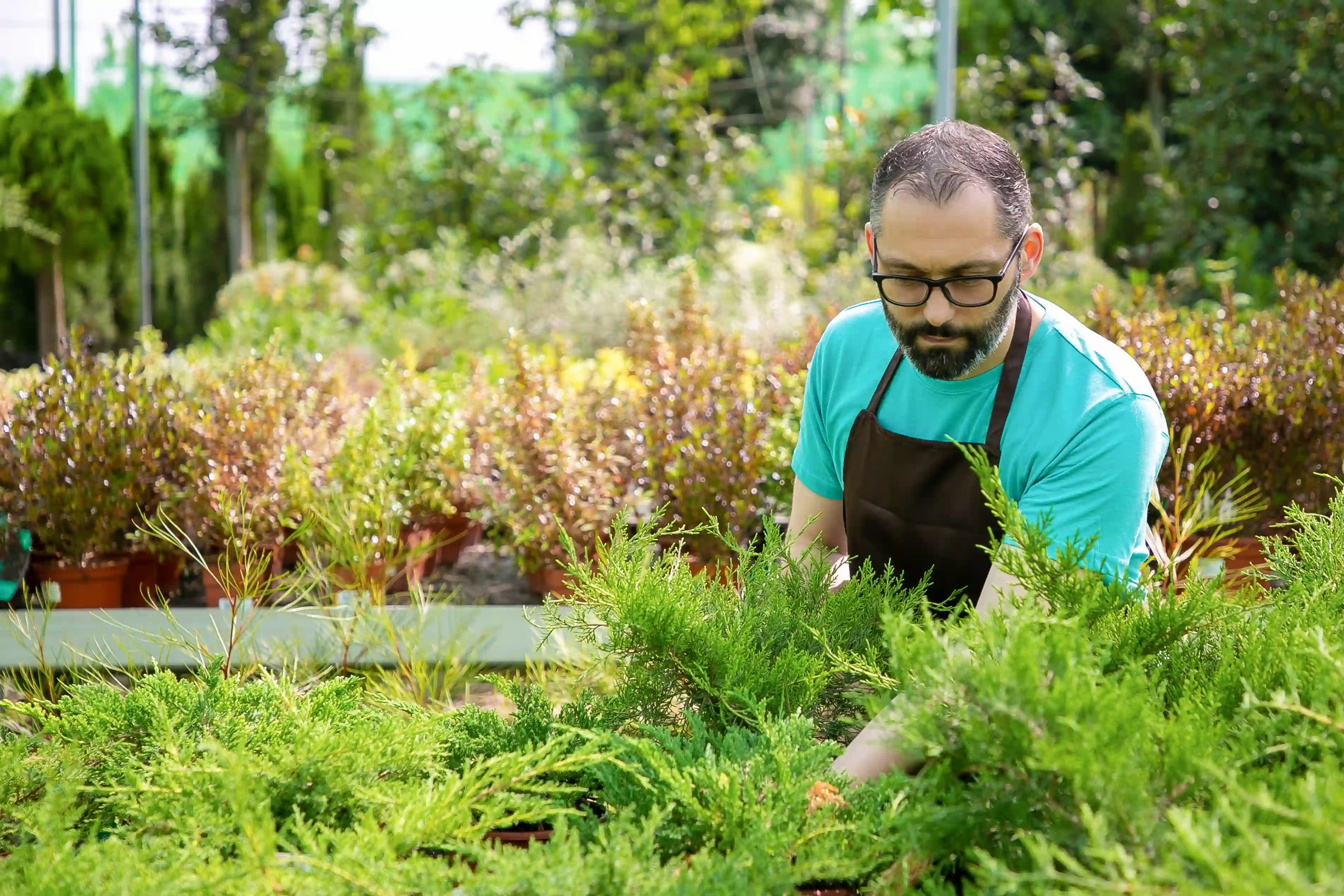 Horticulture & Landscaping